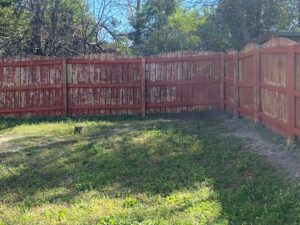 staining a fence