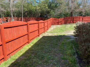 staining fences