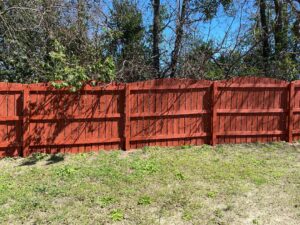 stain a fence