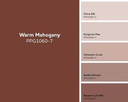 colors of the year2026